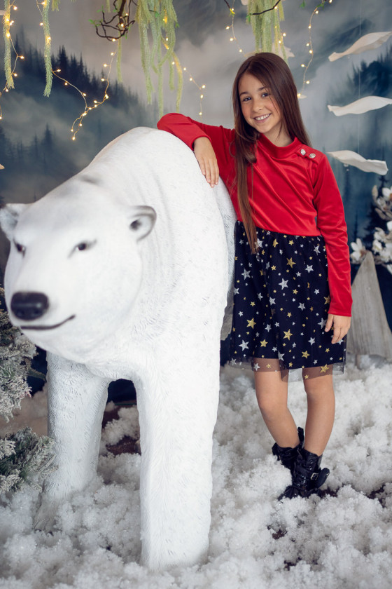 Sukienka świąteczna dla dziewczynki odzież dziecięca boże narodzenie gwiazdka świąteczna Sówka